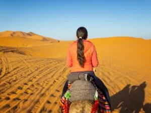 3-day Marrakech to Fes desert tour