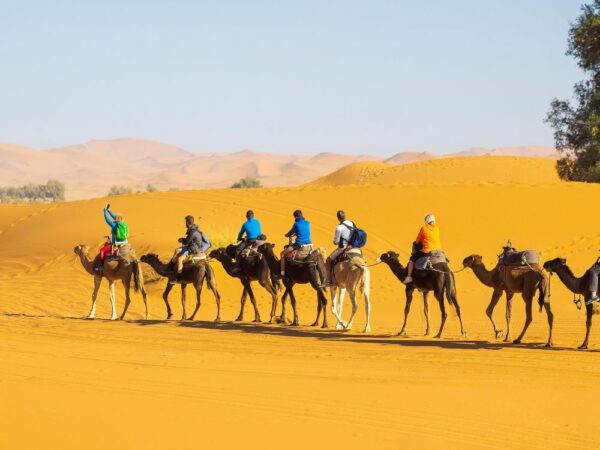 a group of people riding camels in the desert