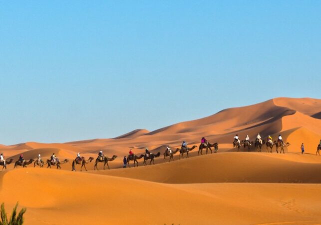 a group of people riding camels in the desert