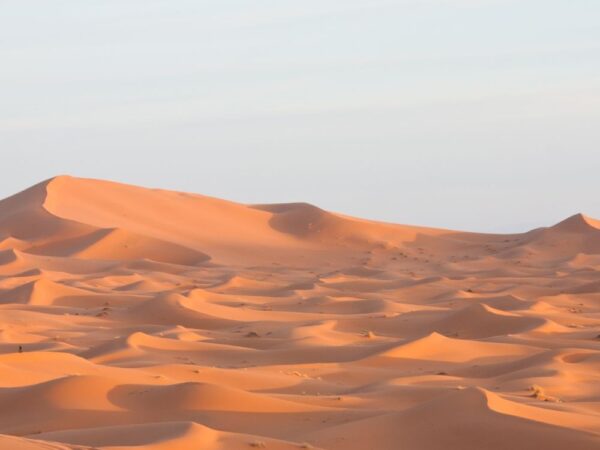 a sand dunes with tire tracks