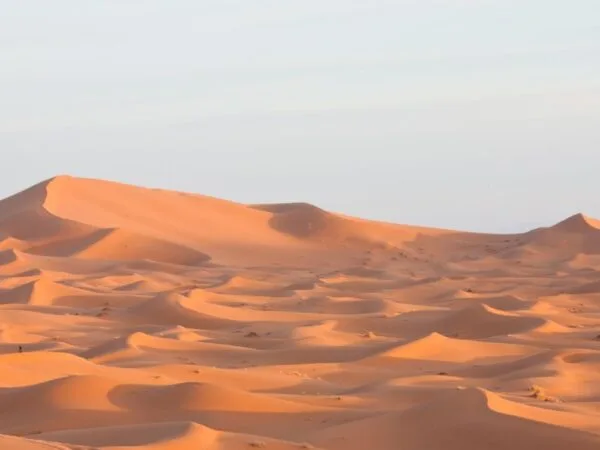 a sand dunes with tire tracks