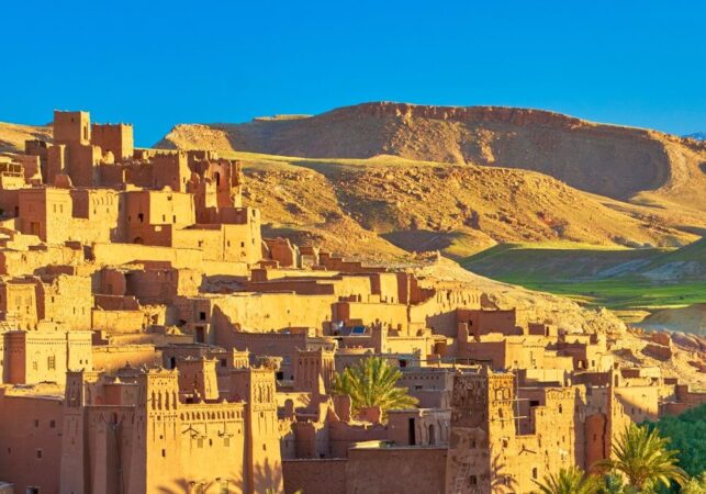 a desert town with palm trees and mountains in the background