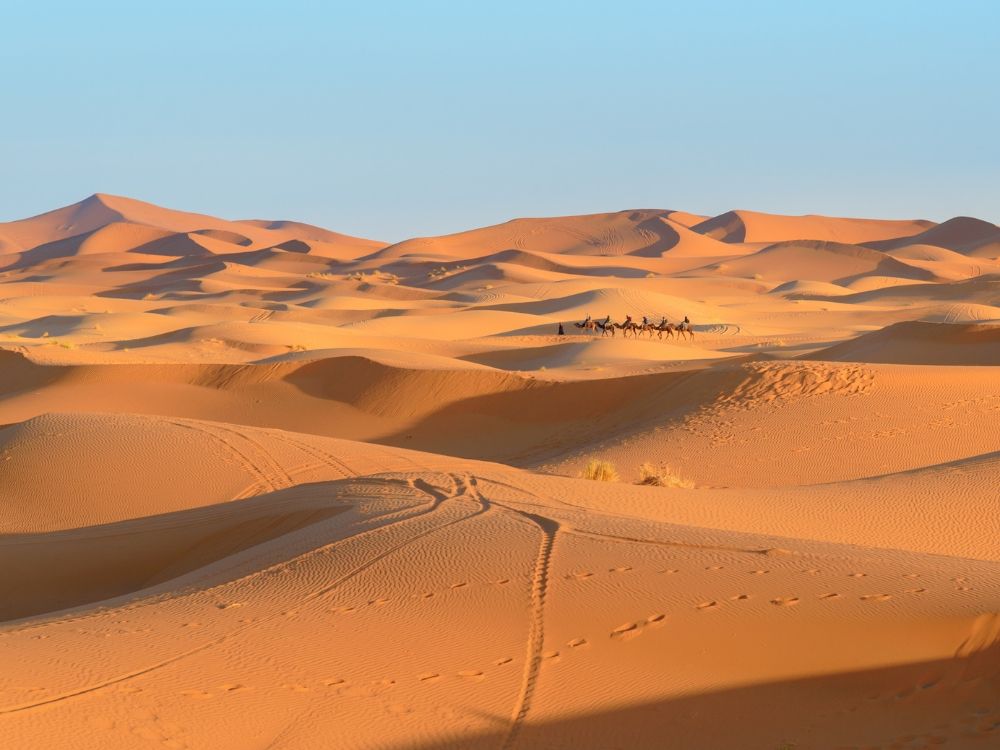 13 Days Tour From Casablanca