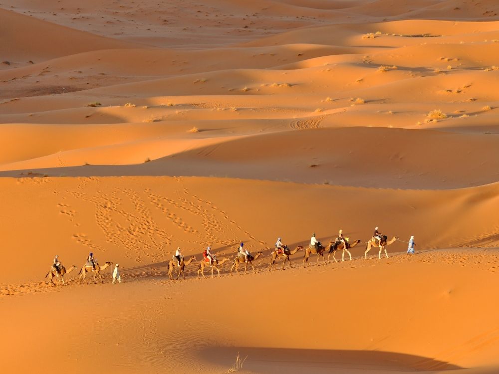 3 day Fes to Marrakech Sahara desert tour