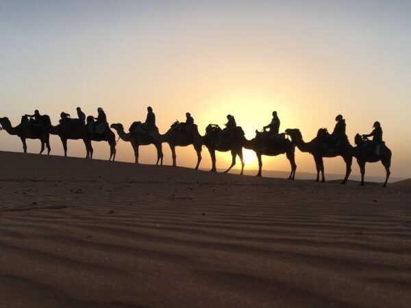 a group of people riding camels in the desert