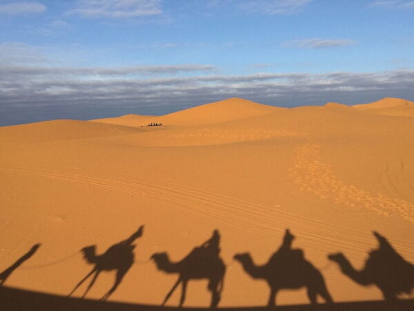 shadows of people riding camels in the desert