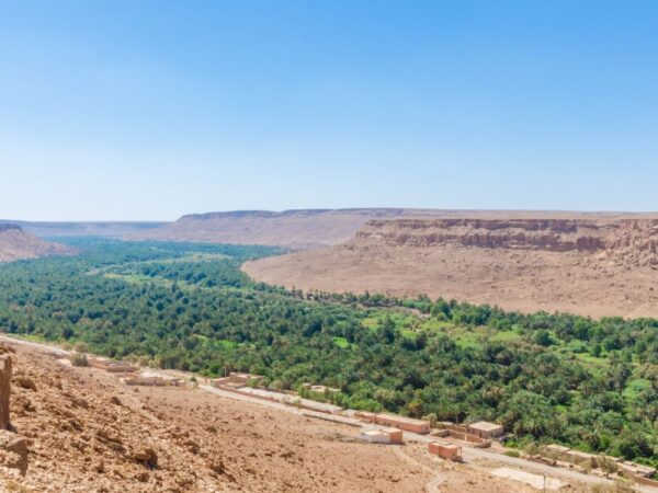a landscape with a road and trees