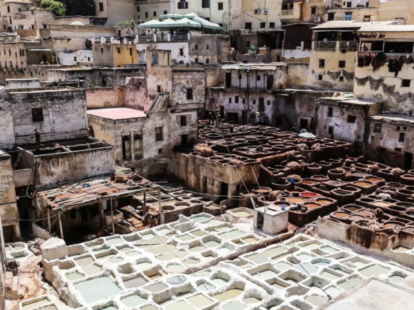 a large group of buildings with white and brown paint