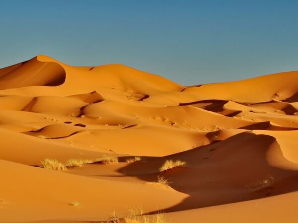 a sand dunes in the desert