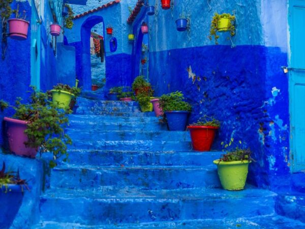 a blue painted alley with pots of plants