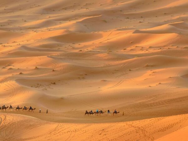 a group of people riding camels in the desert