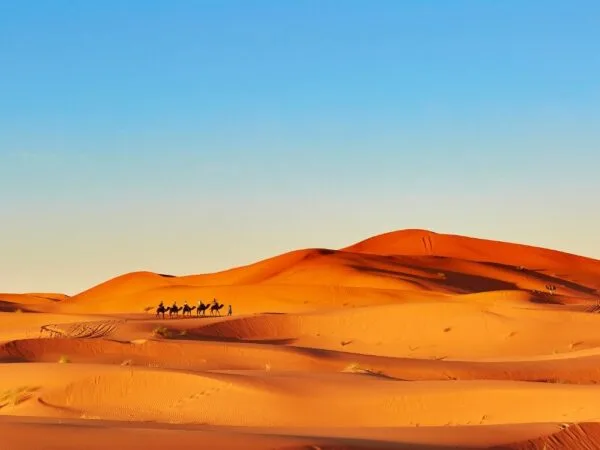 a group of people riding camels in a desert