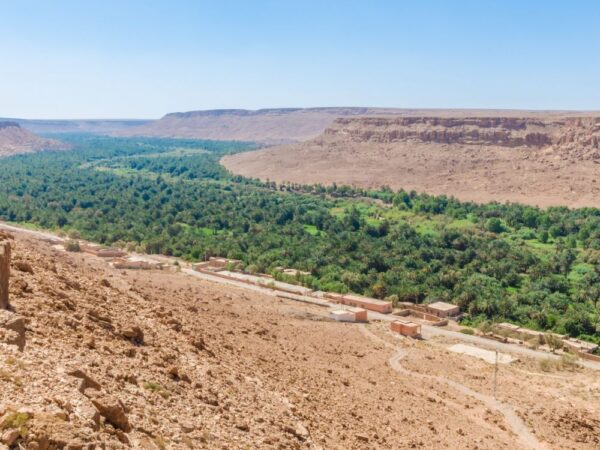 a landscape with a road and trees