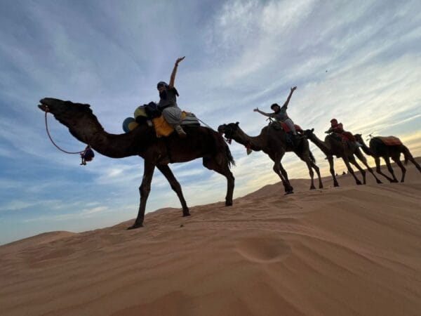 a group of people riding camels in the desert