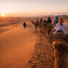 Morocco Desert Tours Guide