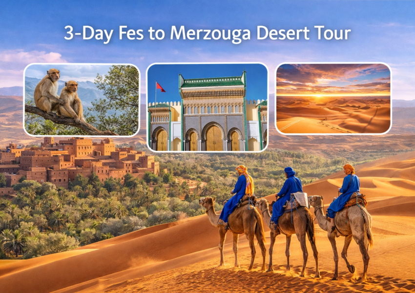 Camel trekking in Erg Chebbi dunes during a 3-day Fes to Merzouga desert tour in Morocco