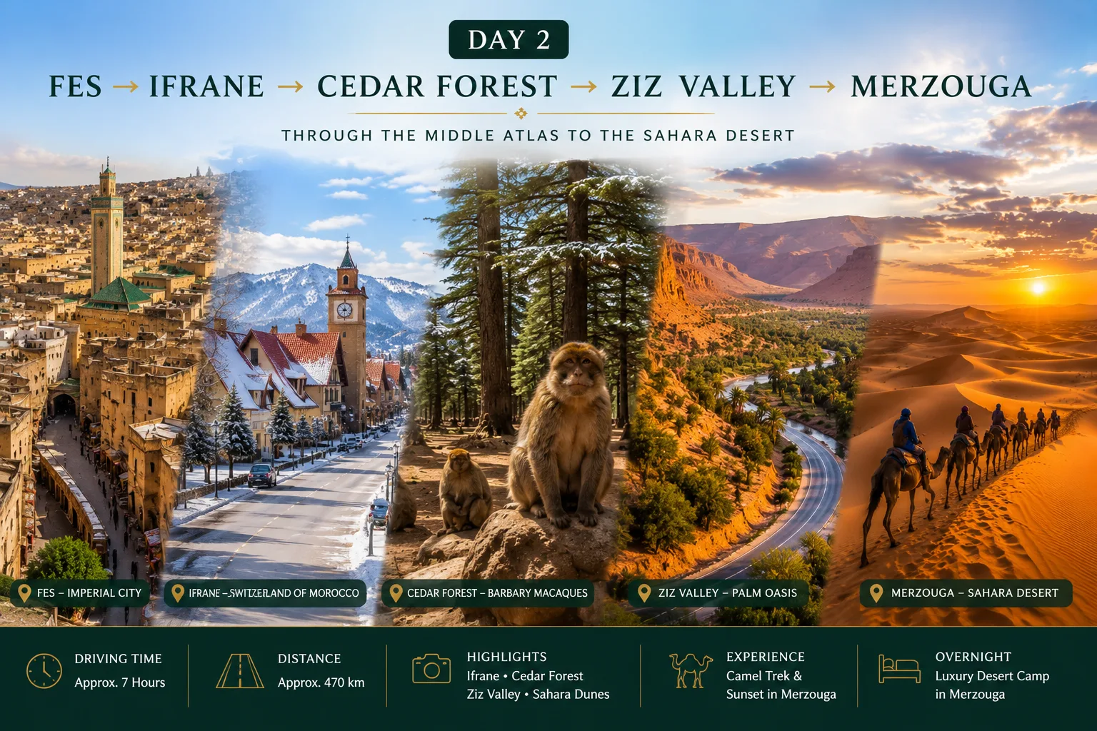Journey from Fes to the Merzouga Sahara Desert through Ifrane, Cedar Forest, the Ziz Valley, and Erg Chebbi dunes.