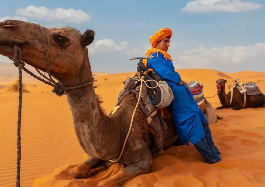 5-Day Morocco Tour From Casablanca through Marrakech and the Merzouga Sahara Desert