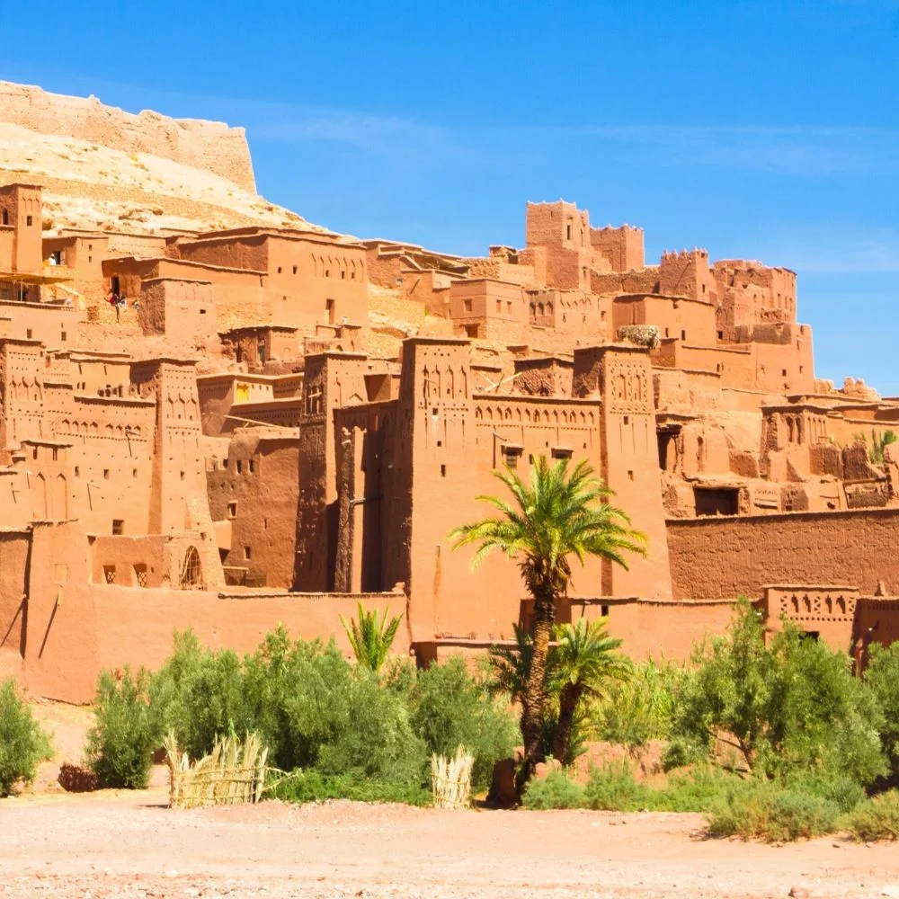 Camel trekking in the Merzouga Sahara Desert during a tour from Fes