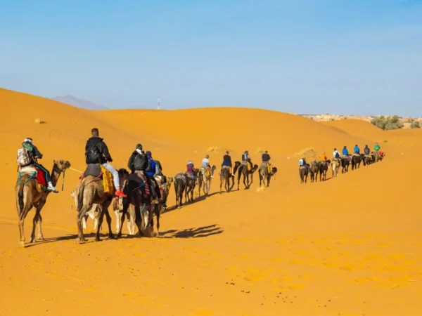Camel ride across the Erg Chebbi dunes in Merzouga Sahara Desert