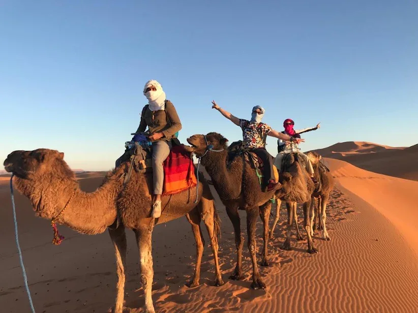 Camel trekking across the Erg Chebbi dunes in Merzouga