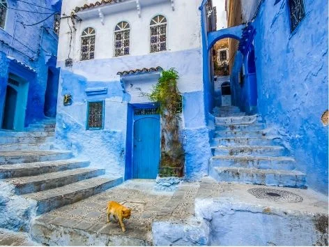 Blue-painted streets and traditional buildings in Chefchaouen, Morocco