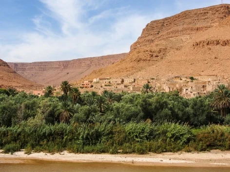 Palms trees in Dades Valley, Morocco